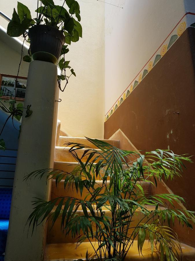 Alma Mia Hotel