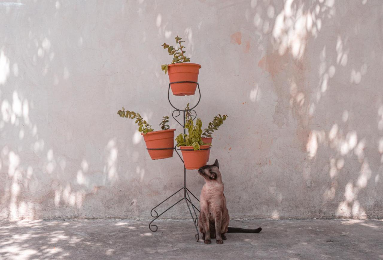 La Casa De Los Poetas Salta