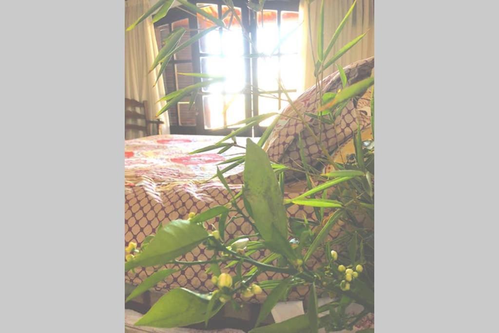 Apartamento Morena Clara *