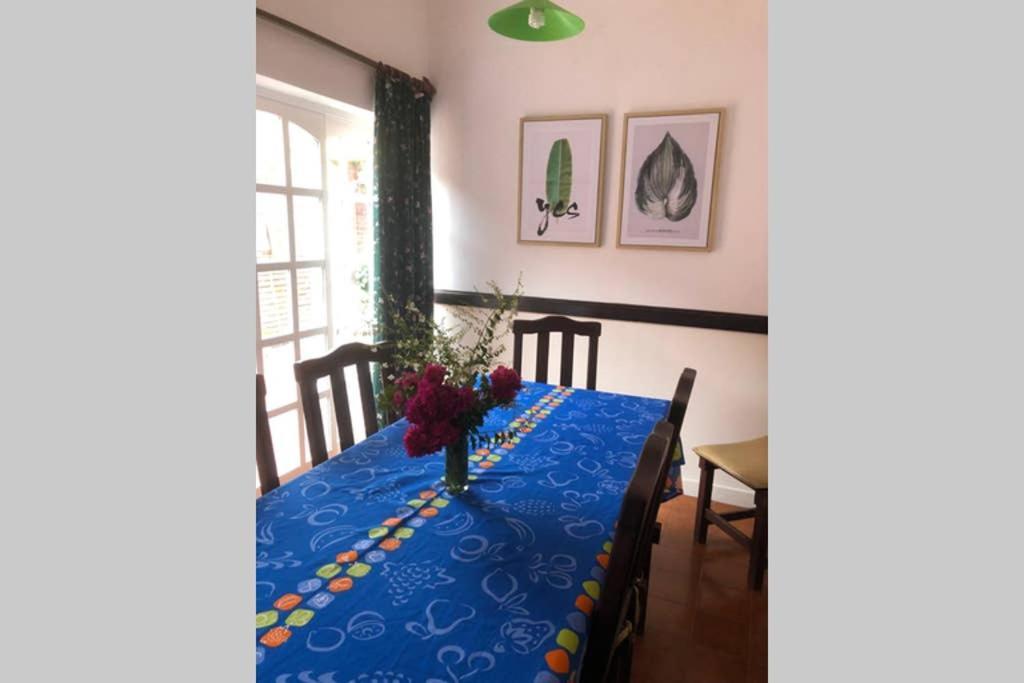 Morena Clara Apartamento
