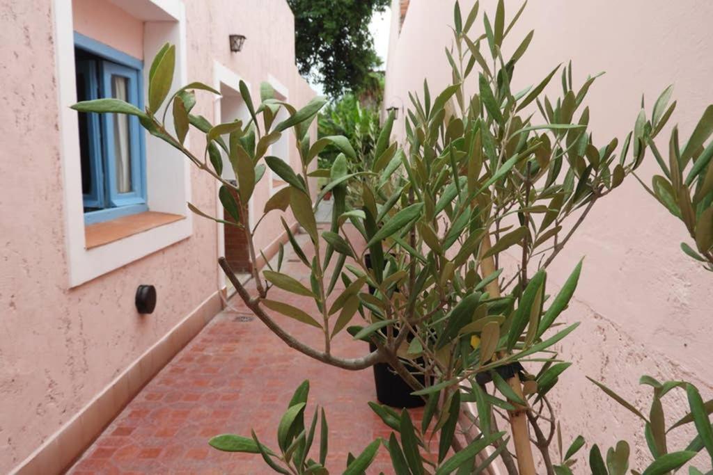 Apartamento Morena Clara