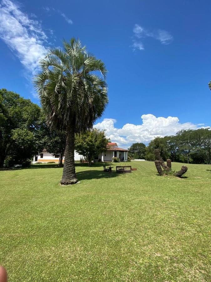 Las Camelias Inn
