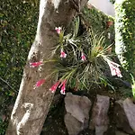 Apartment Virgen del Cerro