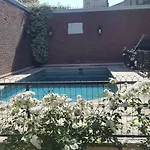 Stelares Departamento