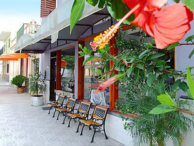 Iris Hotel