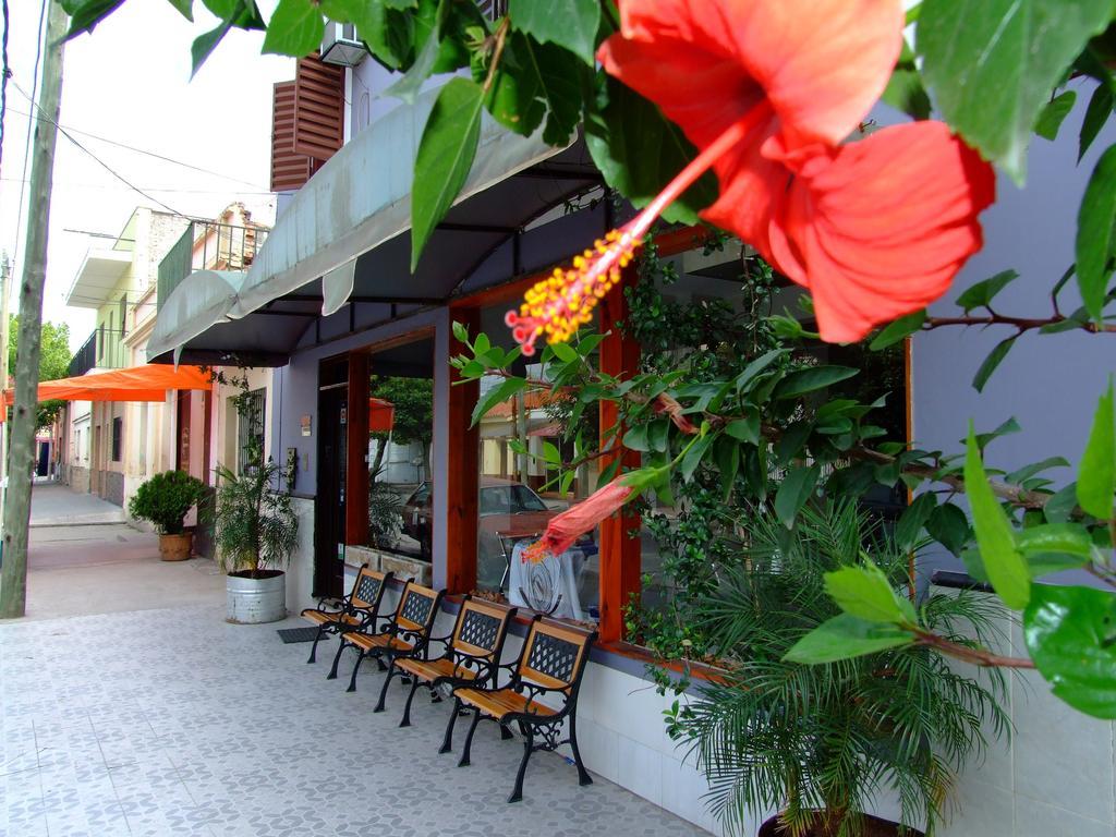 Iris Hotel 2*