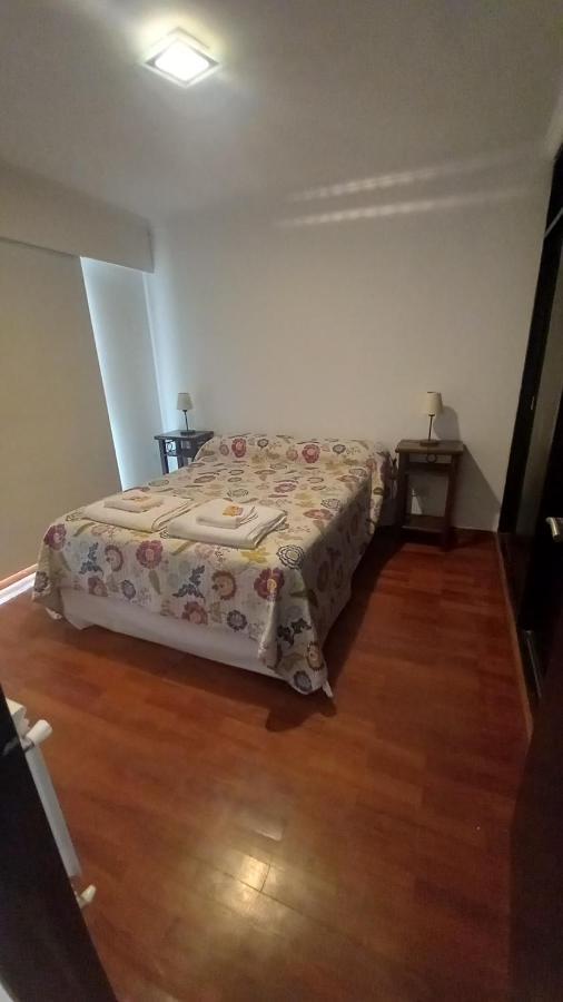 Departamento Vicente Lopez - *